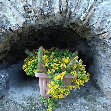 Il Fontolo Villa Ponzano Superiore Exteriör bild