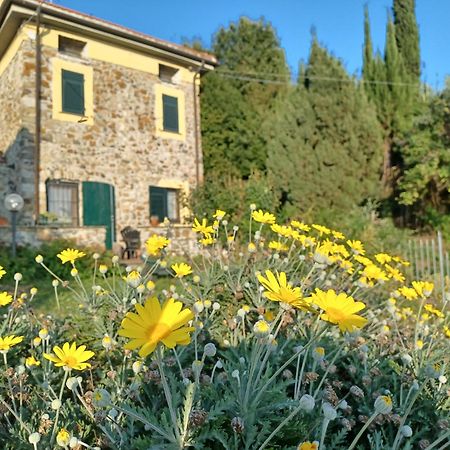 Il Fontolo Villa Ponzano Superiore Exteriör bild