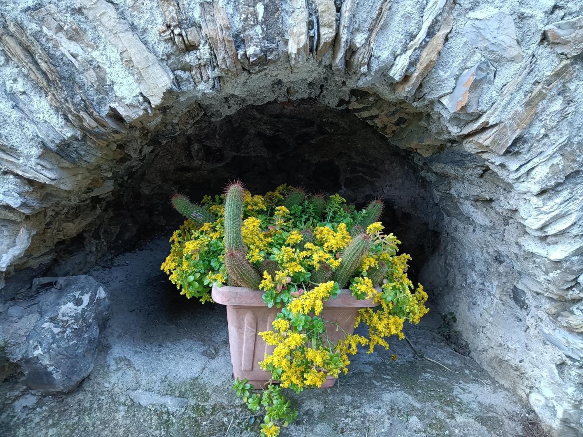 Il Fontolo Villa Ponzano Superiore Exteriör bild