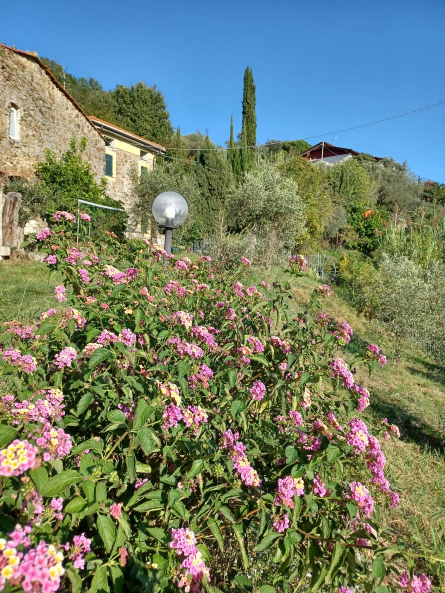 Il Fontolo Villa Ponzano Superiore Exteriör bild