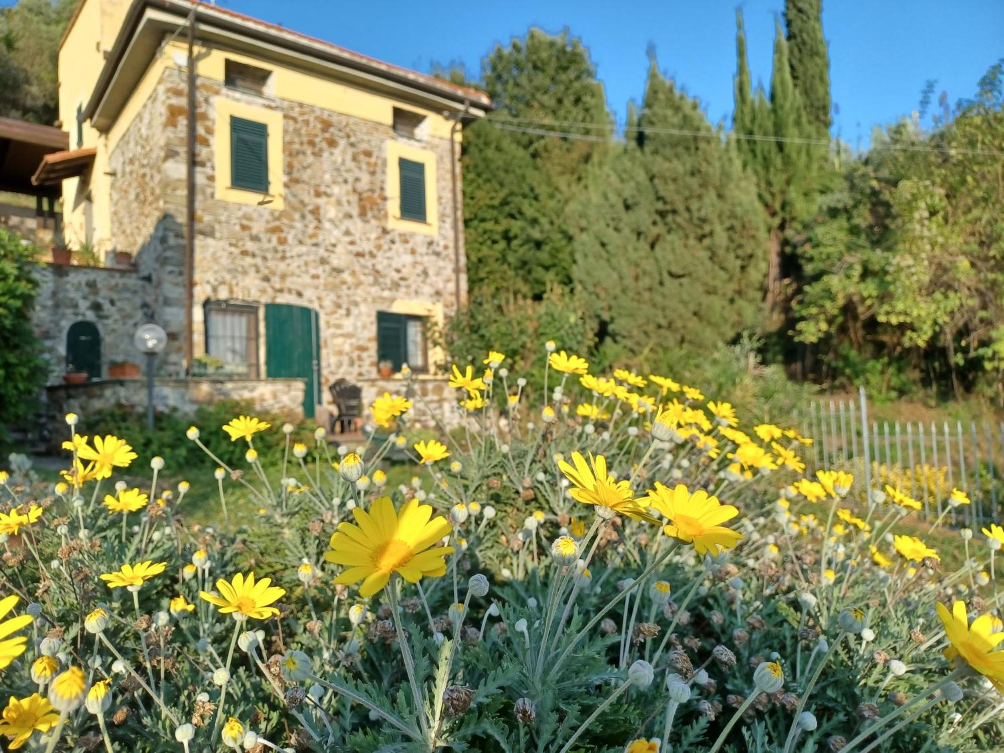 Il Fontolo Villa Ponzano Superiore Exteriör bild