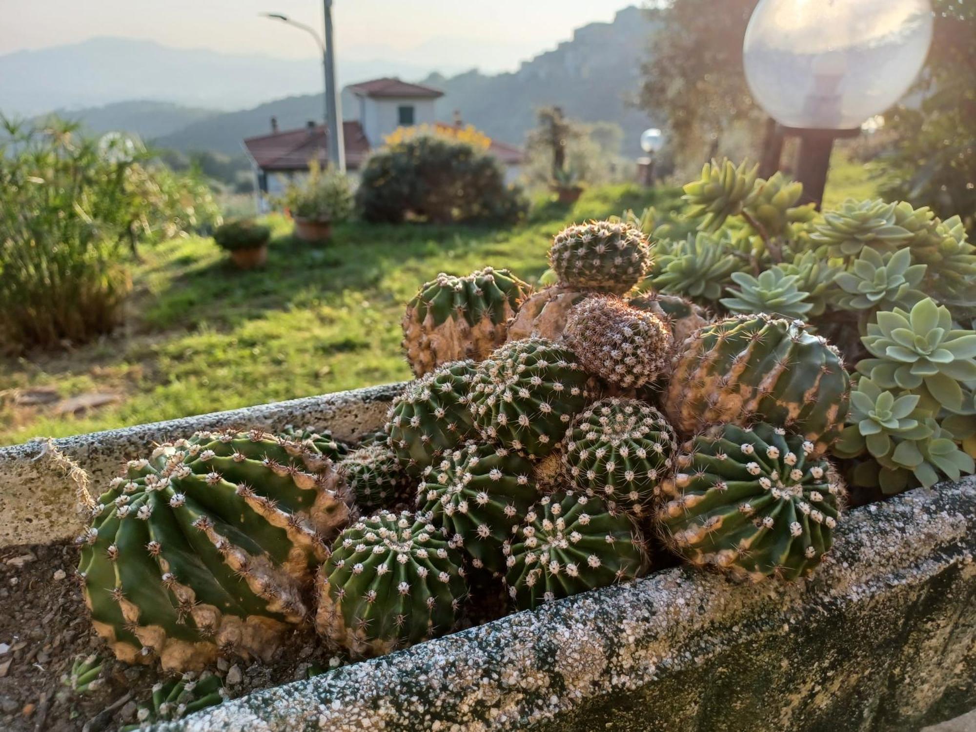 Il Fontolo Villa Ponzano Superiore Exteriör bild